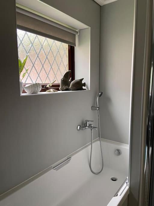 Award Winning Pet Friendly Paddock Cottage ウィットビー エクステリア 写真