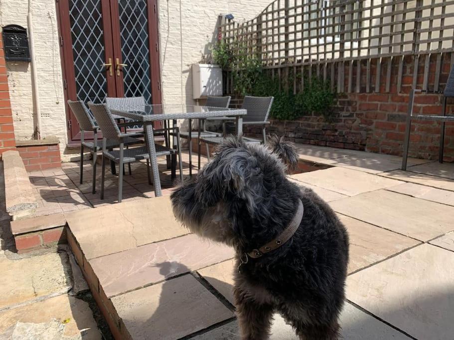 Award Winning Pet Friendly Paddock Cottage ウィットビー エクステリア 写真
