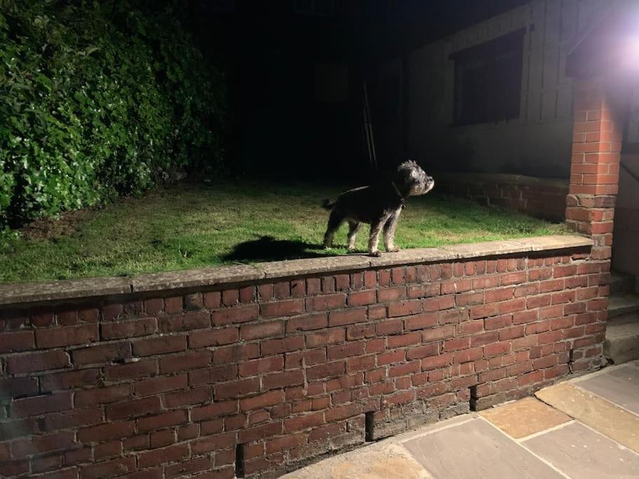 Award Winning Pet Friendly Paddock Cottage ウィットビー エクステリア 写真